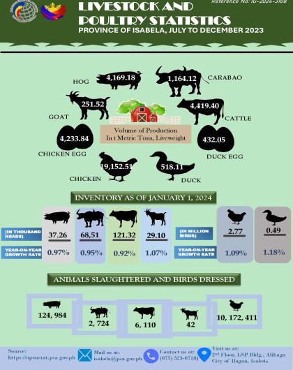 IG-2024-3108 Statistics