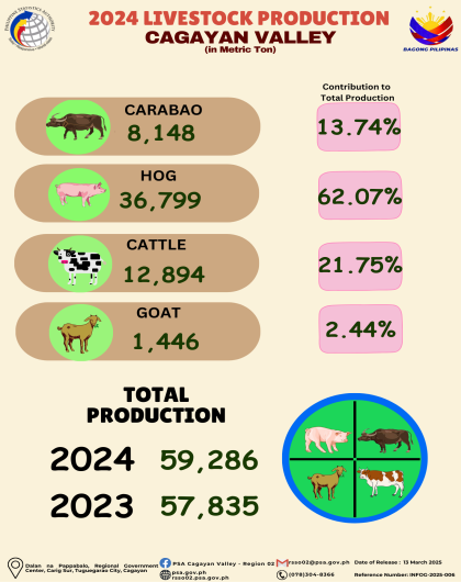 INFOG-2025-006