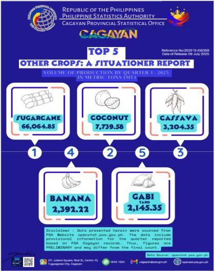 Top 5 Other Crops: A Situationer Report of Volume of Production by 1st Quarter 2025