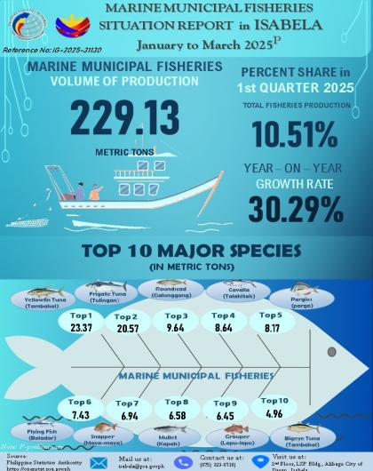 MARINE MUNICIPAL FISHERIES SITUATION REPORT IN ISABELA JANUARY TO MARCH 2025